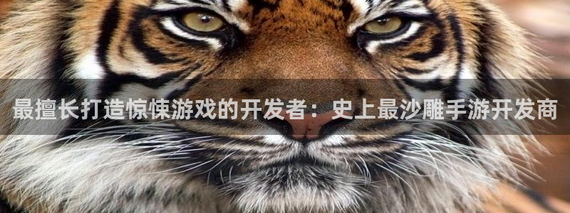 V8娱乐登录：最擅长打造惊悚游戏的开发者：史上最沙雕手游开发