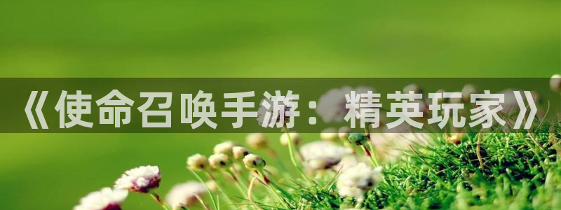 V8娱乐注册：《使命召唤手游：精英玩家》