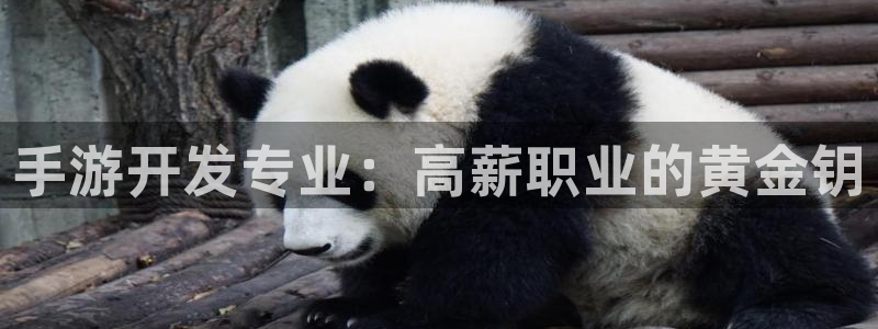 V8娱乐登录：手游开发专业：高薪职业的黄金钥