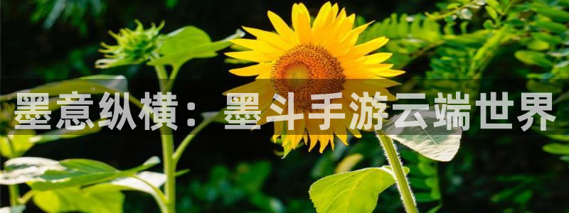 V8娱乐登录：墨意纵横：墨斗手游云端世界