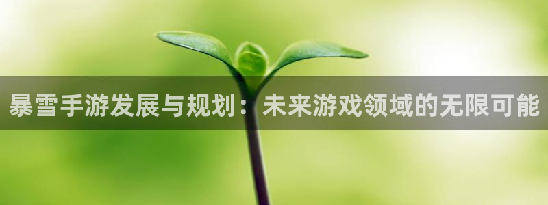 V8娱乐平台：暴雪手游发展与规划：未来游戏领域的无限可能
