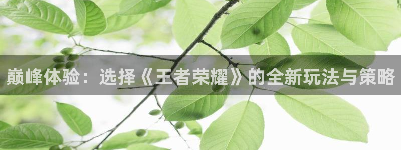 V8娱乐官网：巅峰体验：选择《王者荣耀》的全新玩法与策略