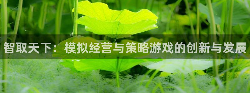 V8娱乐登录：智取天下：模拟经营与策略游戏的创新与发展