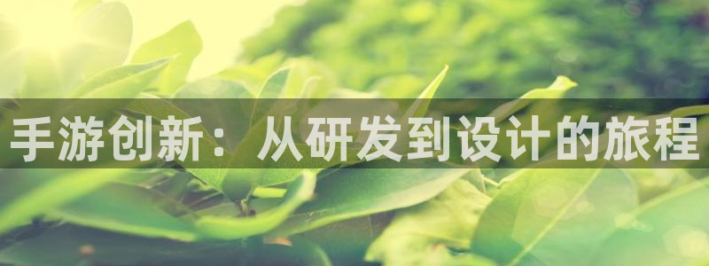 V8娱乐登录：手游创新：从研发到设计的旅程
