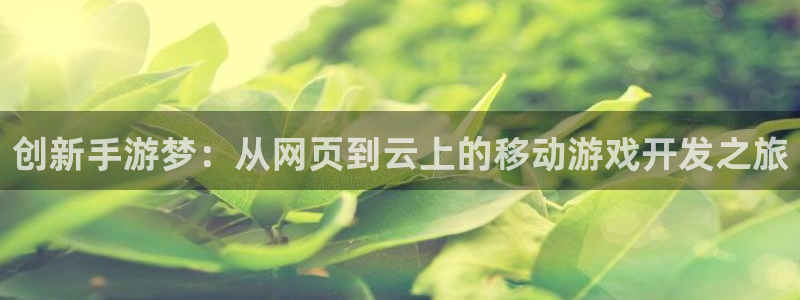 V8娱乐官网：创新手游梦：从网页到云上的移动游戏开发之旅