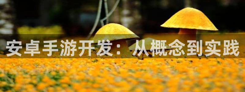 V8娱乐官网：安卓手游开发：从概念到实践