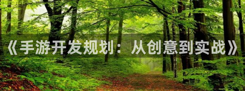V8娱乐官网：《手游开发规划：从创意到实战》