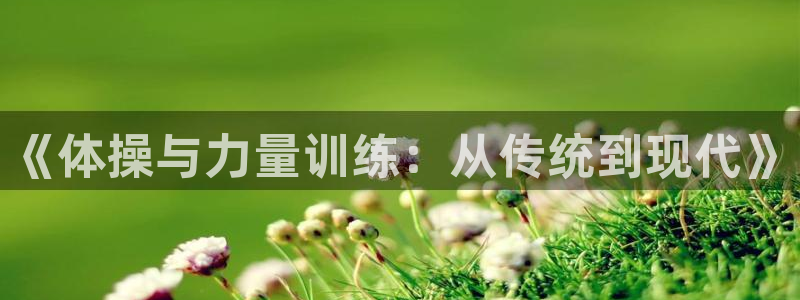 熊猫体育官网