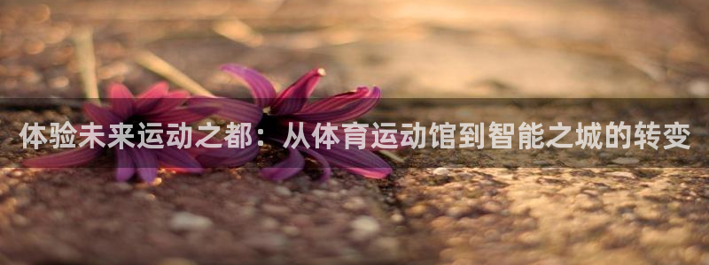 熊猫体育公园：体验未来运动之都：从体育运动馆到智能之城的转变