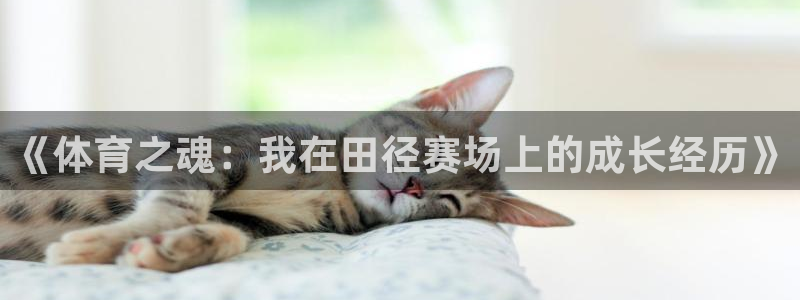 熊猫体育在线：《体育之魂：我在田径赛场上的成长经历》