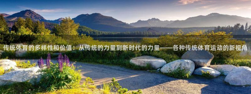 熊猫体育平台官网：传统体育的多样性和价值：从传统的力量到新时代的力量——各种传统体育运动的新视角